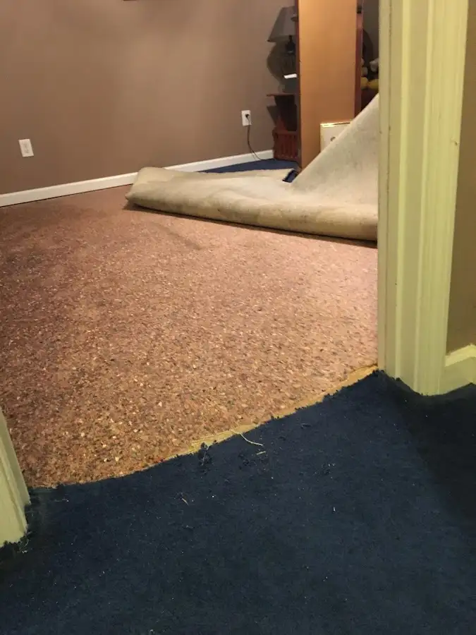 Carpet pad removal revealing water damage during Water Mitigation Services in Mesa