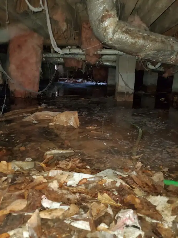 Crawl space flood assessment for Leak Detection & Repair in Mesa