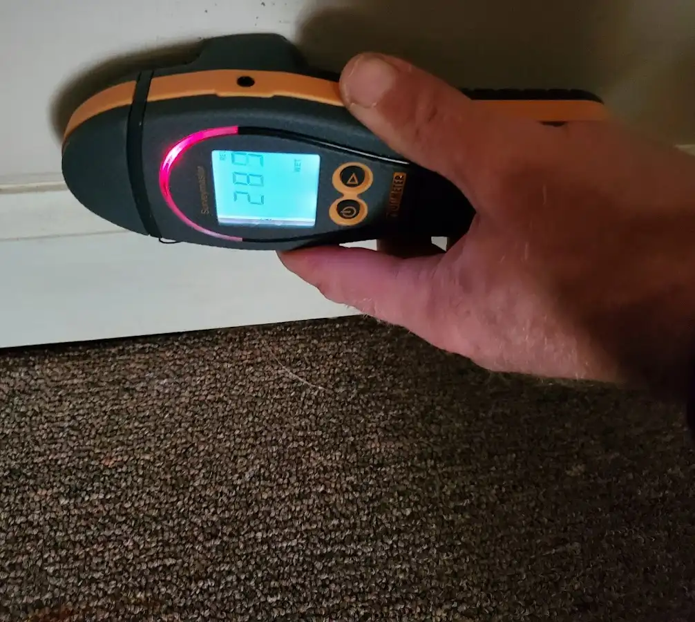 Moisture detection at baseboard during Sewage Cleanup & Sanitation in Mesa